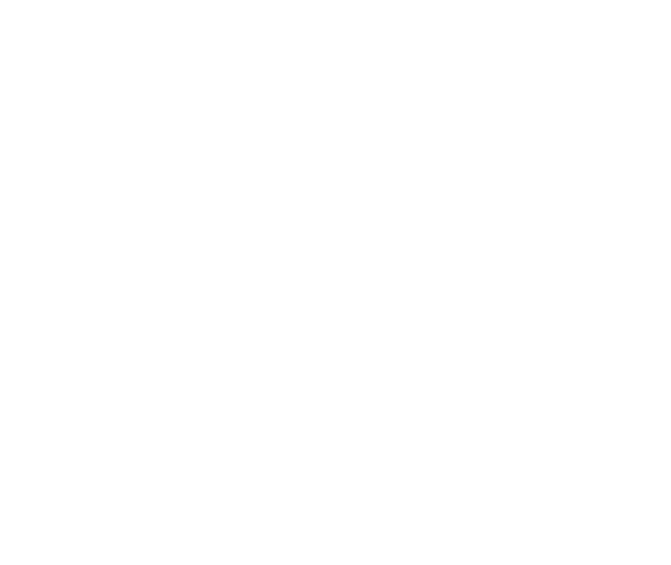 All Campers Japan 2024 SUNSET